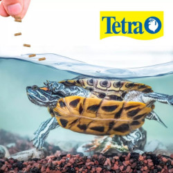 Reptomin 270gr Comida Ranas Tortugas Reptiles Salamandras