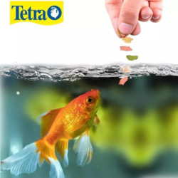 Tetra Goldfish 52gr Hojuelas Bailarinas Peces Acuario Pecera