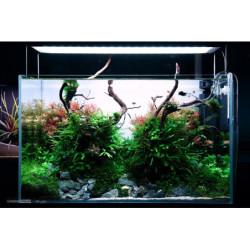 Lámpara Wrgb2 90cms Profesional Espectro Acuario Plantado