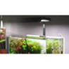 Lámpara Rgb Vivid Mini Profesional Espectro Acuario Plantado