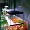 Lámpara Wrgb2 Pro 90cms Profesional Espectro Acuario Plantas