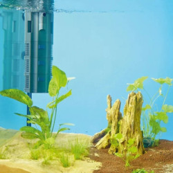 Filtro Interno Cabeza Poder Bioplus 50 Acuario Peces 350l/h