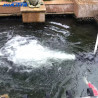 Bomba Aireador Venturi Sumergible Piscicultura 100000l/h
