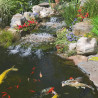 Tetra Pond Koi Vibrance 140gr Lagos Estanque Carpas Goldfish