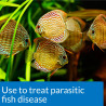 General Cure X2 Medicamento Enfermedades Parásitos Peces
