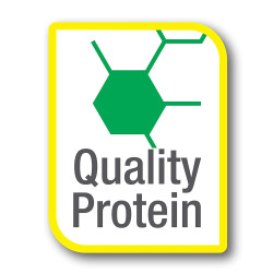 Reptomin 300gr Comida Flotante Tortugas Acuáticas Salamandra