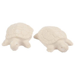 Reptoguard X2 Acondicionador Agua Calcio Tortugas Acuáticas