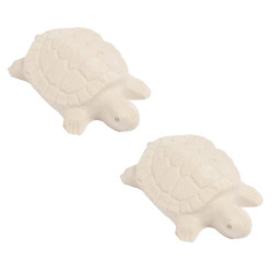 Reptoguard X2 Acondicionador Agua Calcio Tortugas Acuáticas