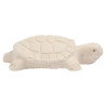 Reptoguard X3 Acondicionador Agua Calcio Tortugas Acuáticas Reptoguard X3 Acondicionador Agua Calcio Tortugas Acuáticas