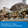 Turtle Fix 118ml Medicina Heridas Piel Tortugas Tortugario Turtle Fix 118ml Medicina Heridas Piel Tortugas Tortugario