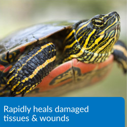 Turtle Fix 118ml Medicina Heridas Piel Tortugas Tortugario