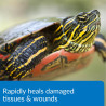 Turtle Fix 118ml Medicina Heridas Piel Tortugas Tortugario Turtle Fix 118ml Medicina Heridas Piel Tortugas Tortugario
