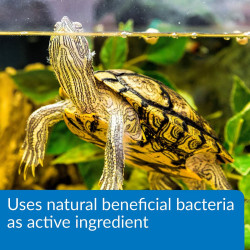 Turtle Sludge Destroyer 237ml Bacterias Benéficas Tortugario