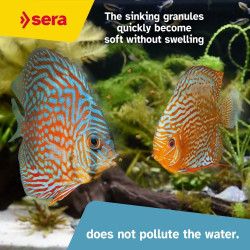 Sera Discus Granules Nature 9,2lb Comida Peces Discos Pecera
