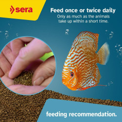 Sera Discus Granules Nature 9,2lb Comida Peces Discos Pecera