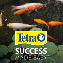 Tetra Pond Koi Vibrance 100gr Lago Estanque Carpas Goldfish