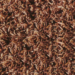 Sera Fd Larvas Rojas Mosquito Nature 4.5gr Golosina Peces