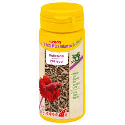 Sera Fd Larvas Rojas Mosquito Nature 4.5gr Golosina Peces