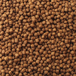 Aquatic Turtle Diet 340gr Comida Tortugas Acuáticas Lagos