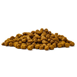 Aquatic Turtle Diet 340gr Comida Tortugas Acuáticas Lagos