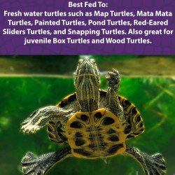 Aquatic Turtle Diet 340gr Comida Tortugas Acuáticas Lagos