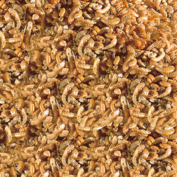 Sera Raffy I Nature 40gr Snacks Tortugas Gambas Peces