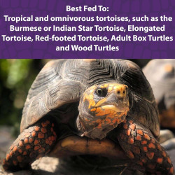 Tortoise Diet 1,25lb Comida Tortugas Tierra Terrestres
