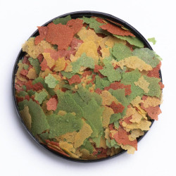 Flake Food 453gr Comida Hojuelas Peces Acuario Pecera Lagos