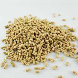 Sera Raffy P Nature 300gr Comida Flotante Tortugas Acuáticas