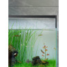 Lámpara Micmol M7 90cm Profesional Espectro Acuario Plantado
