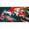 Sera Koi Professional Probiotic 700gr Comida Peces Lagos