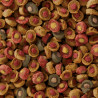Sera Koi Professional Probiotic 700gr Comida Peces Lagos