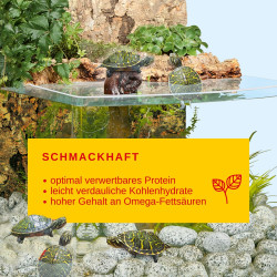 Sera Raffy P Nature 1kg Alimento Flotante Tortugas Acuáticas