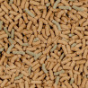 Sera Raffy P Nature 55gr Comida Flotante Tortugas Reptiles