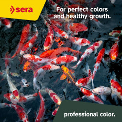 Sera Koi Professional 15,4lb Color Spirulina Lagos Estanques