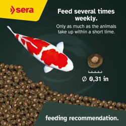 Sera Koi Professional 15,4lb Color Spirulina Lagos Estanques