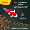 Sera Koi Professional 15,4lb Color Spirulina Lagos Estanques