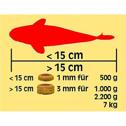 Sera Koi Professional 15,4lb Color Spirulina Lagos Estanques