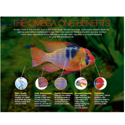 Koi Sticks 8lb Lagos Estanque Comida Peces Carpas Goldfish