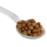 9 In 1 Enhance Color Pellet 145gr Comida 2mm Peces Acuarios