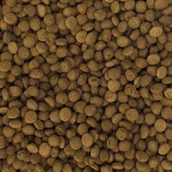Pay Camarón Peces Carnívoros 460gr Alimento Fondo Acuario