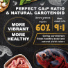 Royal Cichlid Pellet Premium 130gr Alimento Peces Cíclidos