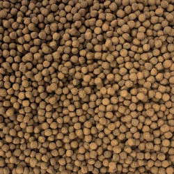 Royal Cichlid Pellet Premium 130gr Alimento Peces Cíclidos