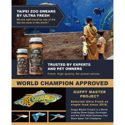 Pellet Mignon Guppies 53gr Comida Peces Espadas Molly Guppy