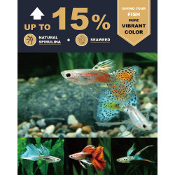 Pellet Mignon Guppies 53gr Comida Peces Espadas Molly Guppy