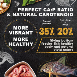 Pay Camarón Peces Tropicales 140gr Comida Fondo Plecos