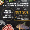 Pay Camarón Peces Tropicales 140gr Comida Fondo Plecos
