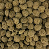 Pay Camarón Vegetales 60gr Comida Peces Fondo Plecos Acuario